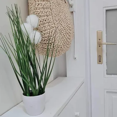 Teresian Apartment *